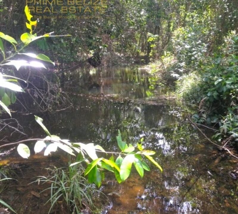 PF0003-creek-view-2-800x0-c-center