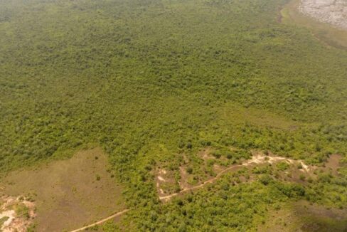 PF0004-green-vegetation-800x0-c-center