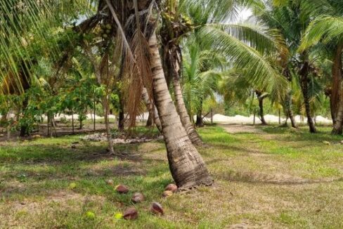 PF0009-25-Acres-Farm-10-800x0-c-center