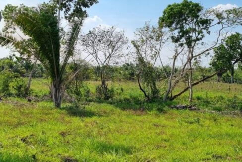 PF0009-25-Acres-Farm-2-800x0-c-center