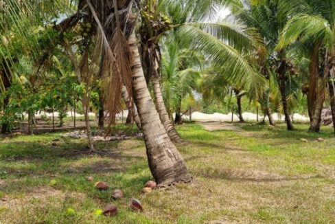 PF0009-25-Acres-Farm-4-800x0-c-center