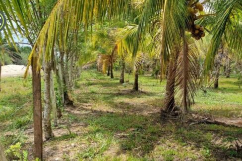 PF0009-25-Acres-Farm-5-800x0-c-center