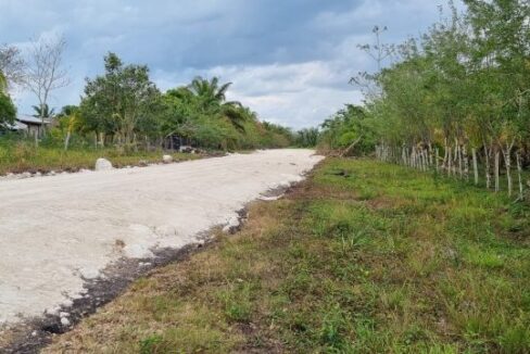 PF0009-25-Acres-Farm-6-800x0-c-center