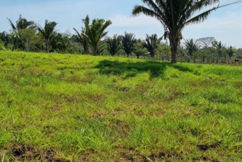 PF0009-25-Acres-Farm-7-800x0-c-center