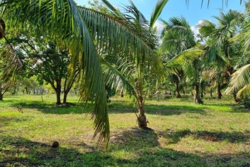 PF0009-25-Acres-Farm-9-800x0-c-center