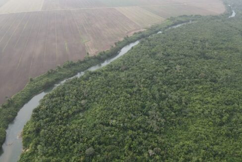 PF0010-Cayo-Farm-9800-River-View-800x0-c-center