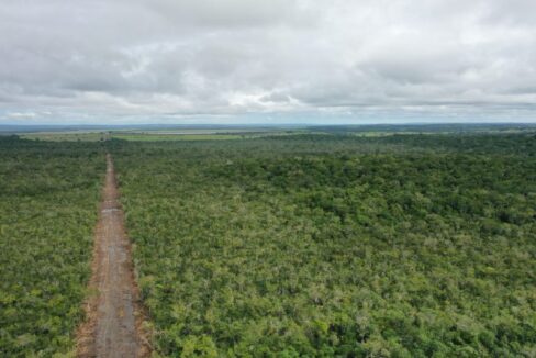 PF0011-13000-Acres-Blue-Creek-Arial-Road-view-scaled-800x0-c-center