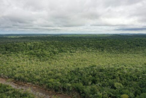 PF0011-13000-Acres-Blue-Creek-Arial-drone-view-scaled-800x0-c-center