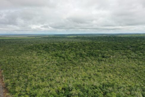 PF0011-13000-Acres-Blue-Creek-green-scaled-800x0-c-center