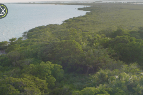 PF0012-Balam-Coastal-Estate-31860-Acres-800x0-c-center