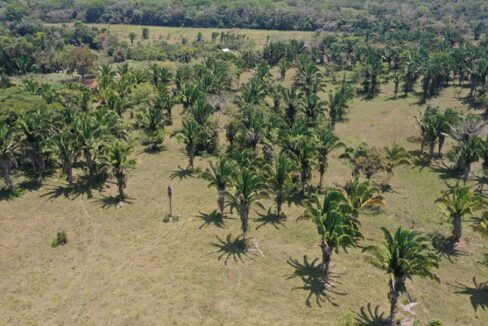 PF0013-50-Acres-Toledo-1-800x0-c-center