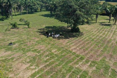 PF0013-50-Acres-Toledo-3-800x0-c-center