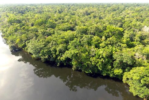 PF0014-25-Acres-riverfront-1-800x0-c-center