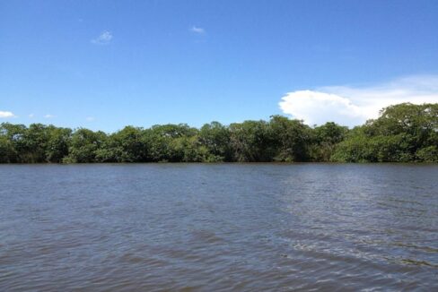 PF0014-25-Acres-riverfront-3-800x0-c-center