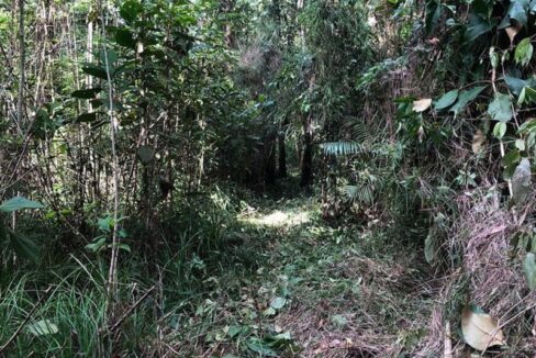 PF0014-25-Acres-riverfront-trail-800x0-c-center