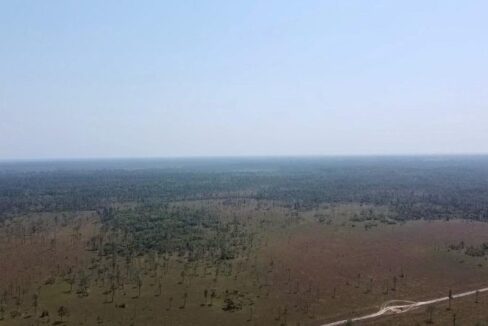 PF0015-2600-Acres-Monkey-River-Bladen-Arial-800x0-c-center