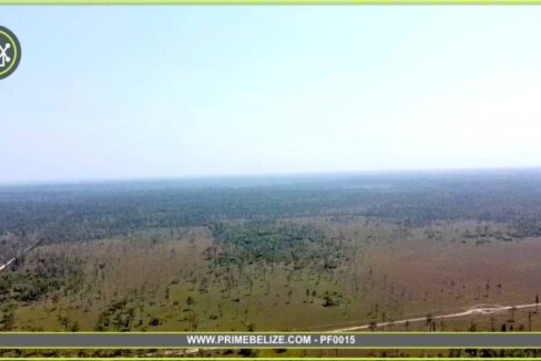 PF0015-2600-acres-Monkey-River-Bladen-800x0-c-center