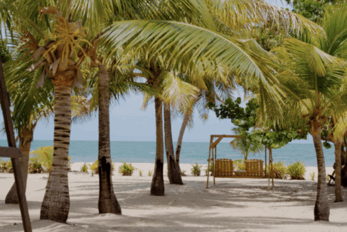 PH0015-Hibiscus-Income-Beachfront-Rental-Beach-800x0-c-center