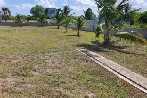 PH0051-fenced-yard-with-plants-800x0-c-center