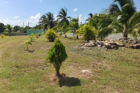 PH0051-nice-garden-800x0-c-center