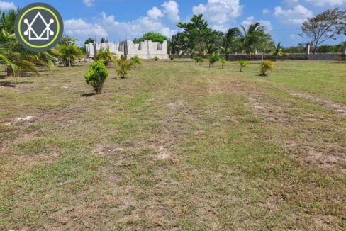 PH0051-spacious-yard-with-an-unfinished-concrete-house-800x0-c-center