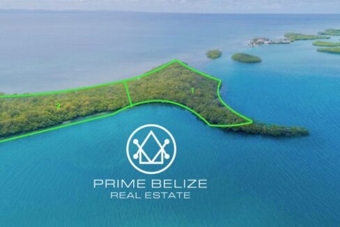 PI0001-Hammer-Head-Caye-Outlined--800x0-c-center