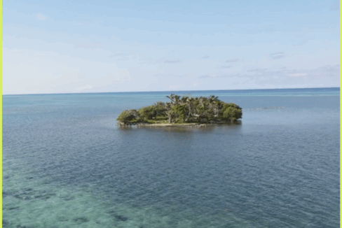 PI0004-Hat-Caye-2-800x0-c-center