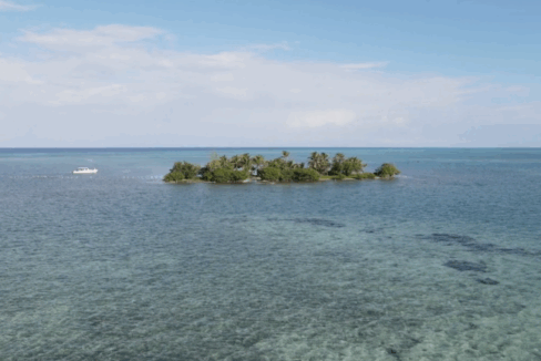 PI0004-Hat-Caye-4-800x0-c-center