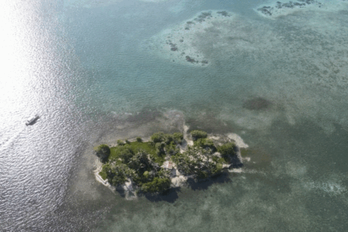 PI0004-Hat-Caye-8-800x0-c-center