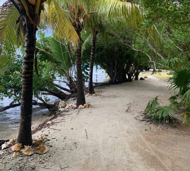 PI0006-Beachfront-scaled-800x0-c-center