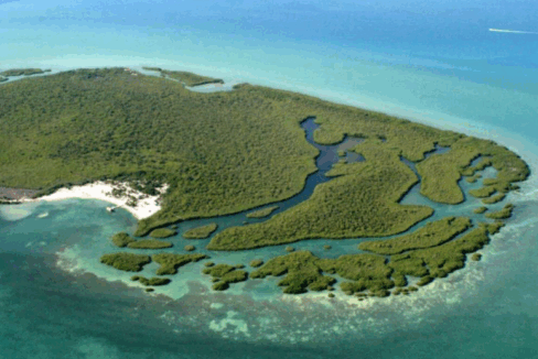 PI0007-Water-Caye-Aerial-view-1-800x0-c-center