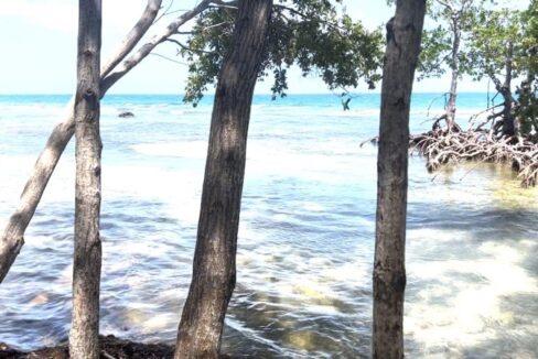 PI0011-driftwood-Caye-3-800x0-c-center