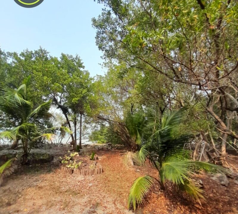 PI0011-ground-shot-updated-photo-800x0-c-center