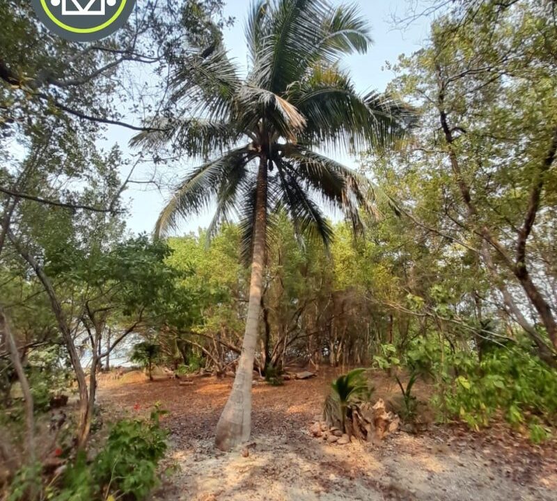PI0011-walkway-updated-photo-800x0-c-center