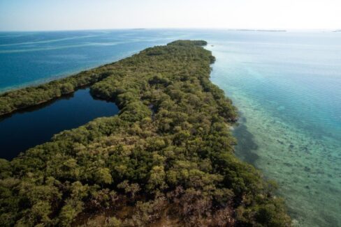PI0018-Block-3-Saddle-Caye-Closer-Arial-View-2-800x0-c-center