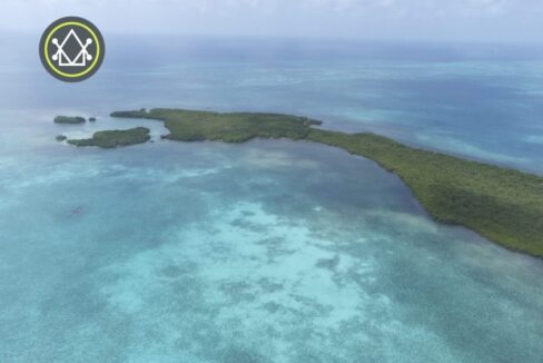 PI0036-Crawl-Caye-1-copy-scaled-800x0-c-center