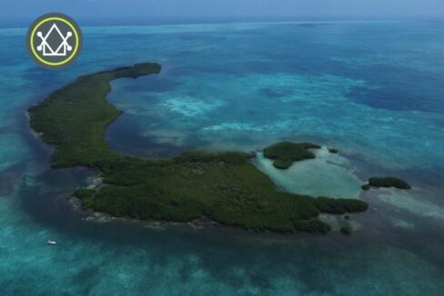PI0036-Crawl-Caye-scaled-800x0-c-center