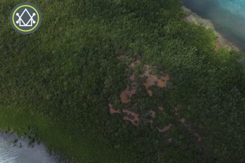 PI0036-closer-view-crawl-caye-scaled-800x0-c-center