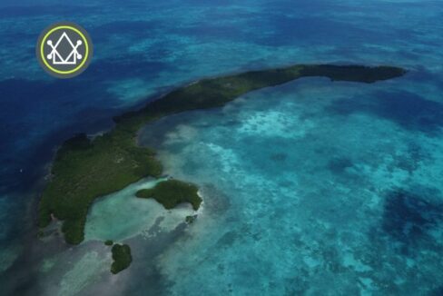 PI0036-entire-crawl-caye-scaled-800x0-c-center