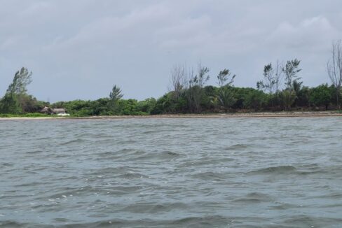 PL0001-Beach-View-scaled-800x0-c-center