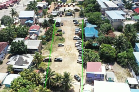 PL0003-Arial-view-outline-800x0-c-center