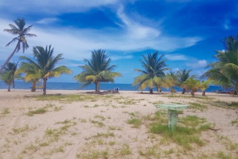 PL0003-beach-parcel-placencia-village-1-800x0-c-center