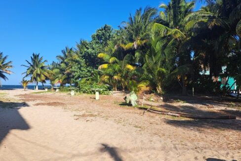 PL0003-updated-beach-picture-scaled-800x0-c-center