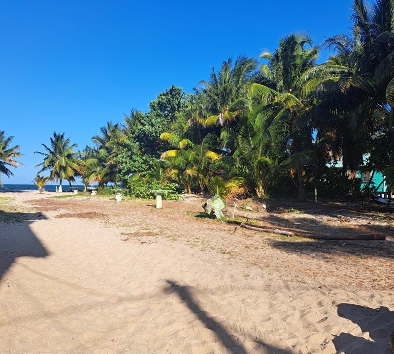 PL0003-updated-beach-picture-scaled-800x0-c-center