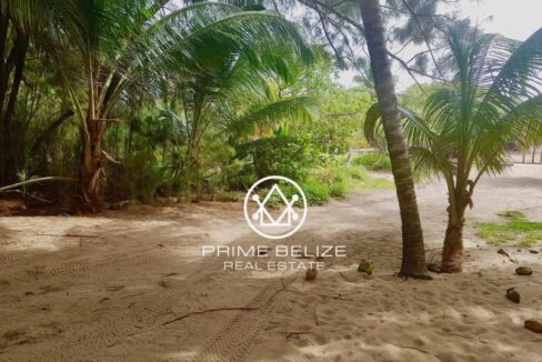 PL0004-Property-800x0-c-center