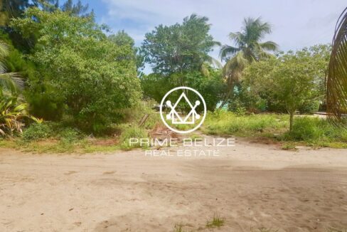 PL0004-Property-shrubs-800x0-c-center