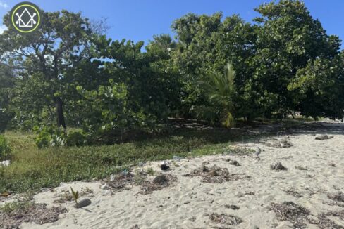 PL0005-Beachfront-scaled-800x0-c-center