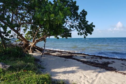 PL0005-beachside-scaled-800x0-c-center