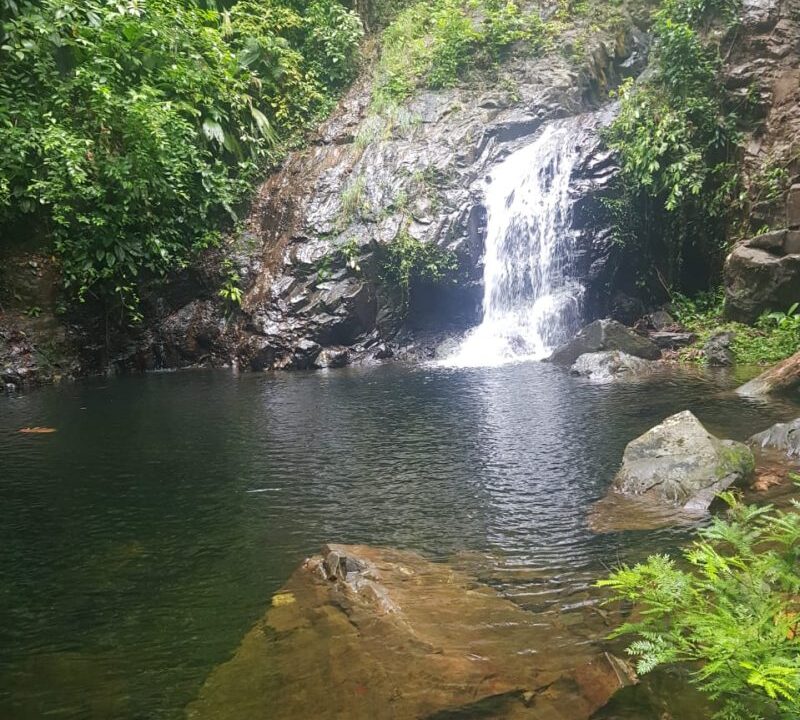PL0010-Beautiful-waterfall-800x0-c-center