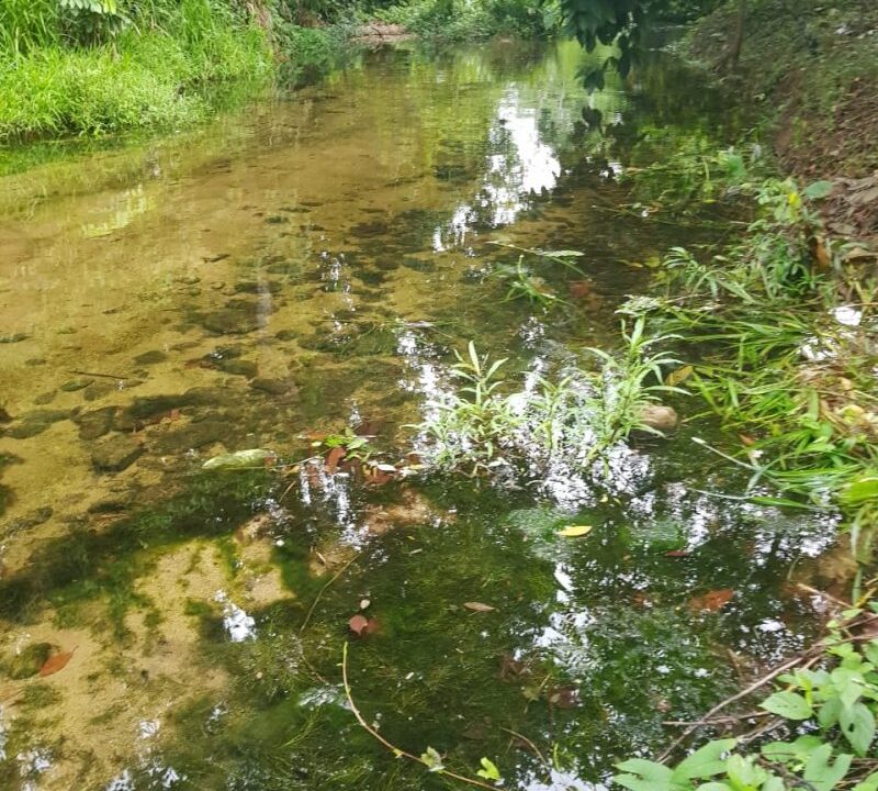 PL0010-Shallow-creek-passage-trail-to-waterfall-800x0-c-center